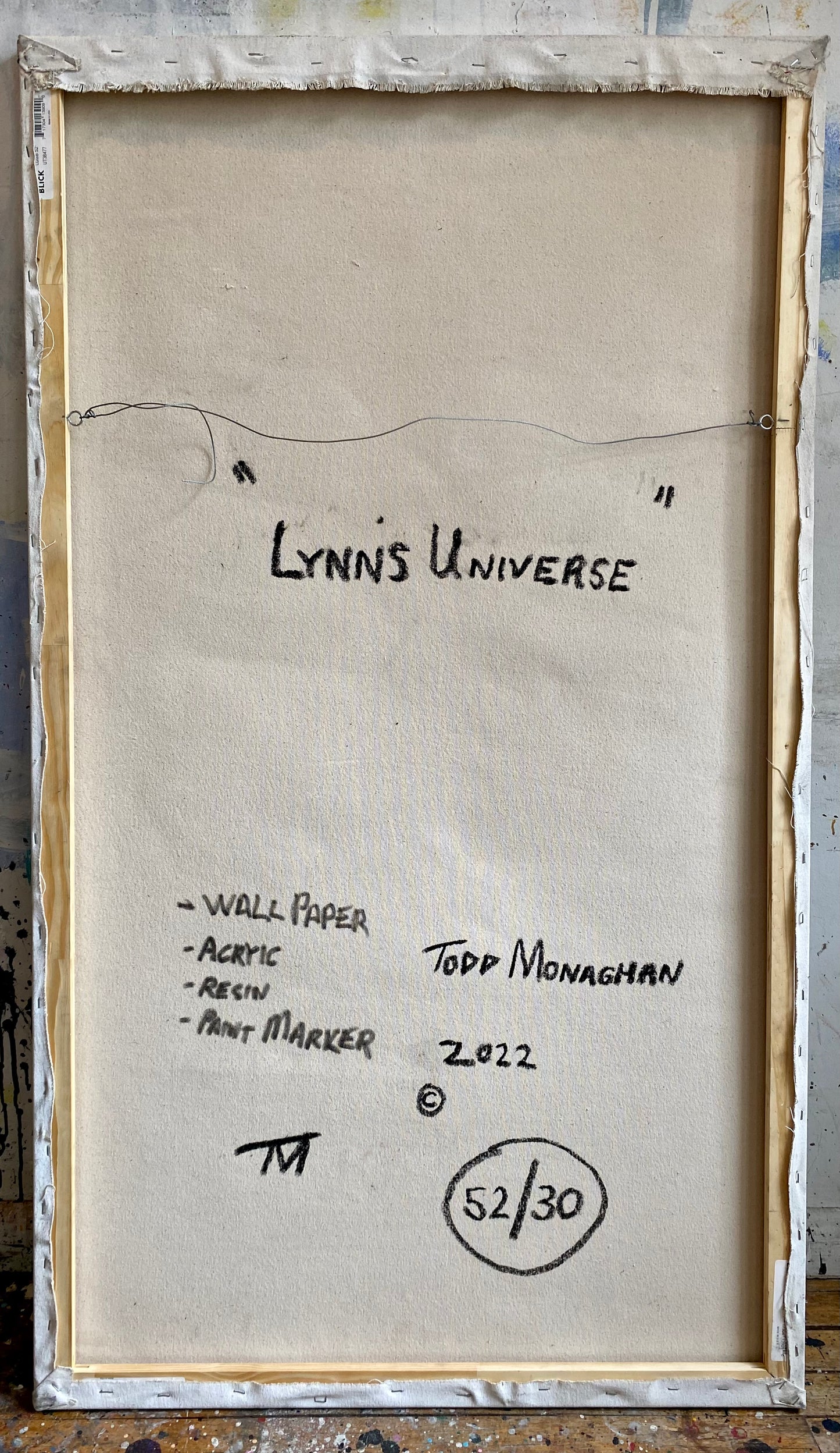 Lynn's Universe